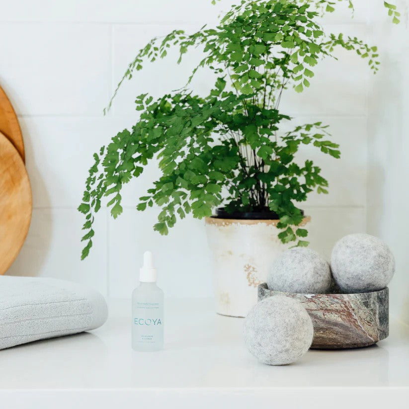 Bottle of Ecoya product on a white surface with a potted plant and decorative stones.