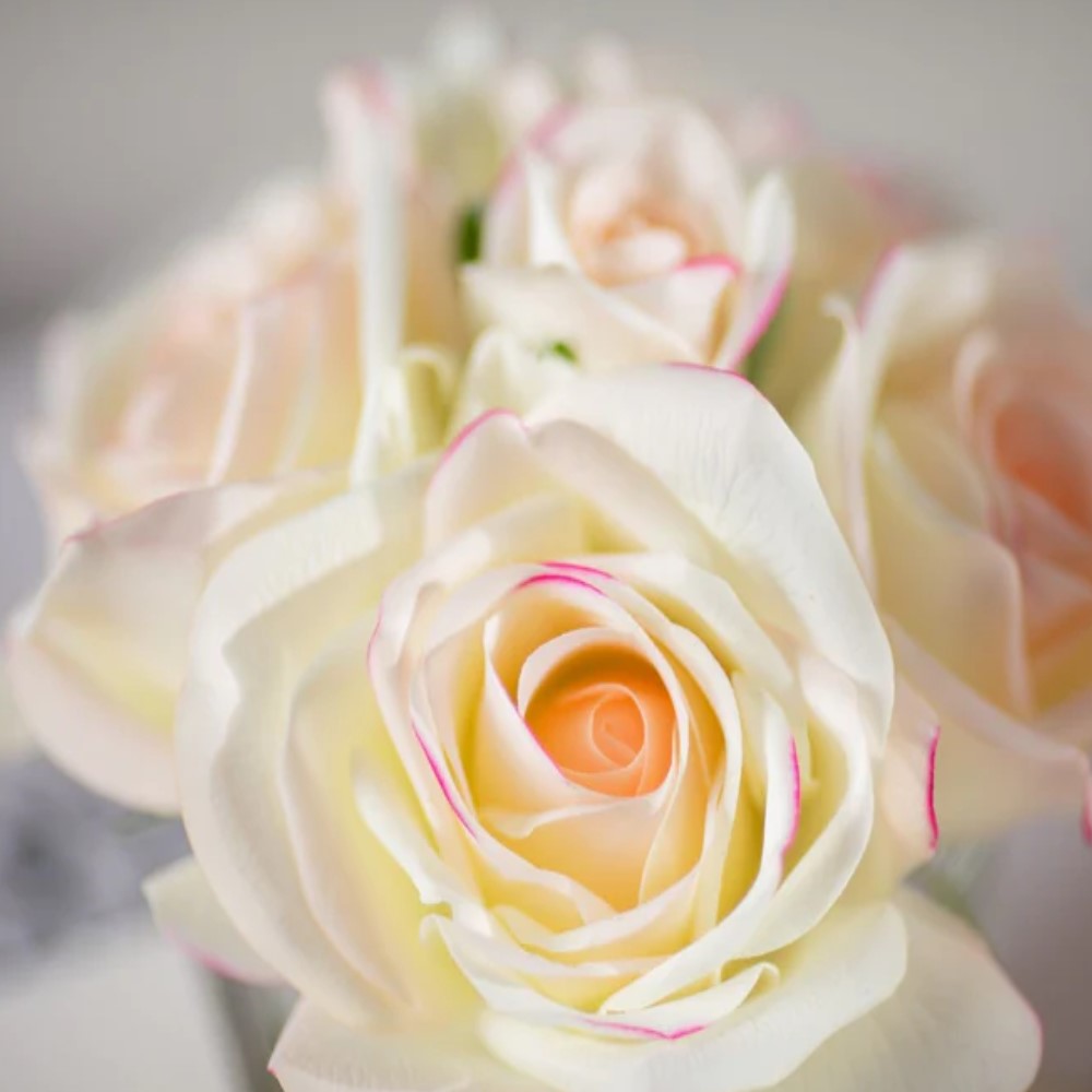 Cote Noire Five Rose Fragrance