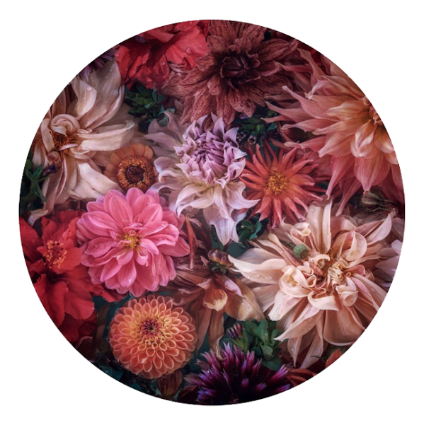 Marina de Wit Decal Hope 50cm