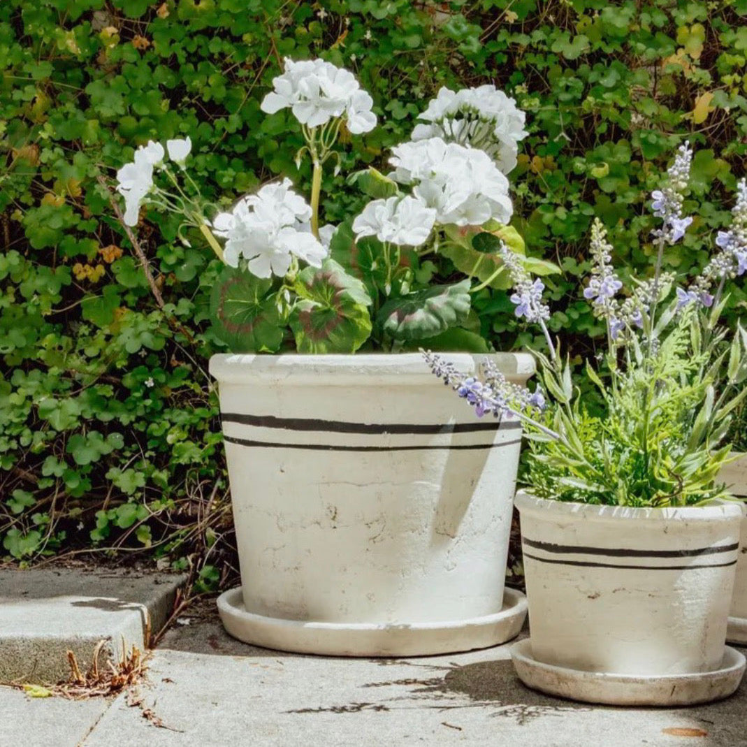 Lisbon Herb Pot Medium by French Country Collections