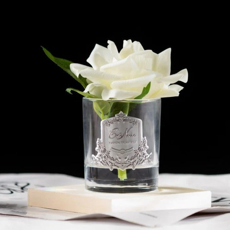 Cote Noir Rose in Gel Ivory