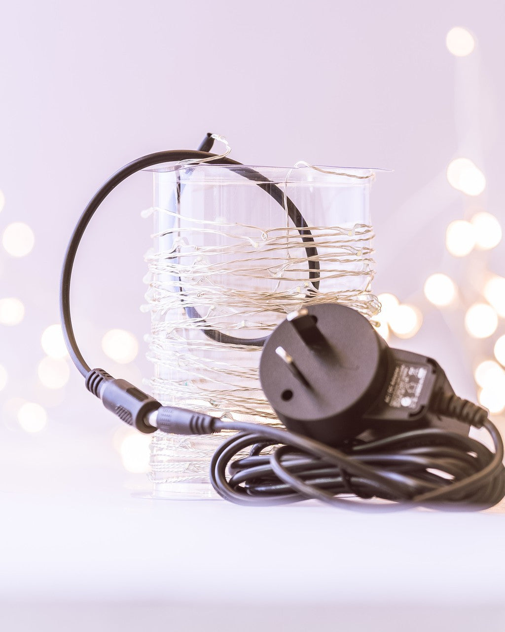 10m Plug 100LED Seed Light Copper
