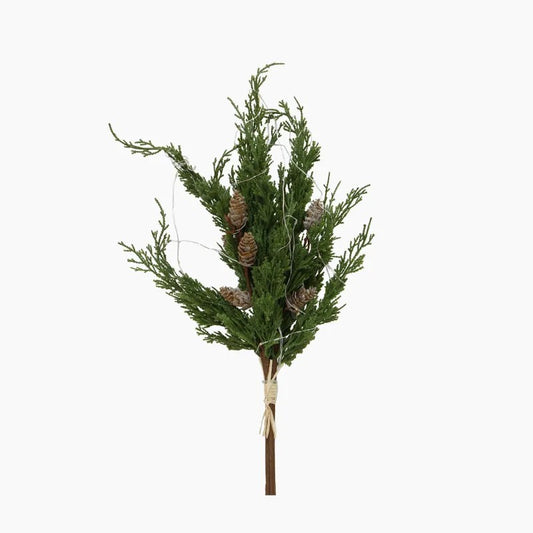 Cedar & Pinecone Branch w Lights 60cm