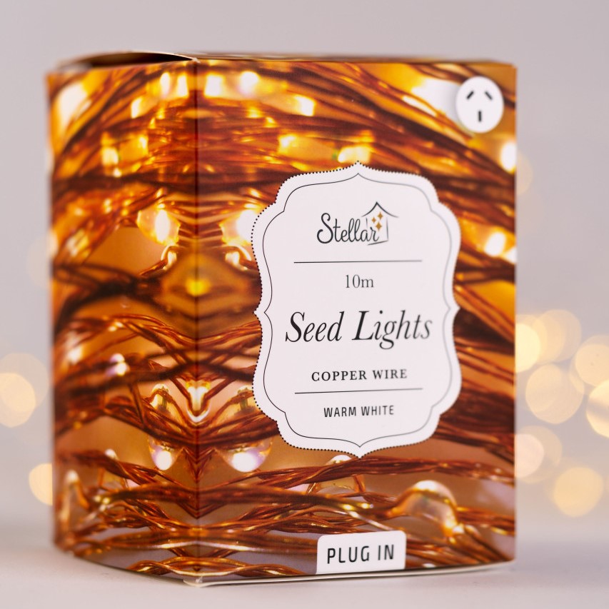 10m Plug 100LED Seed Light Copper
