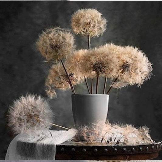 Dandelion by Lydia Jacobs
