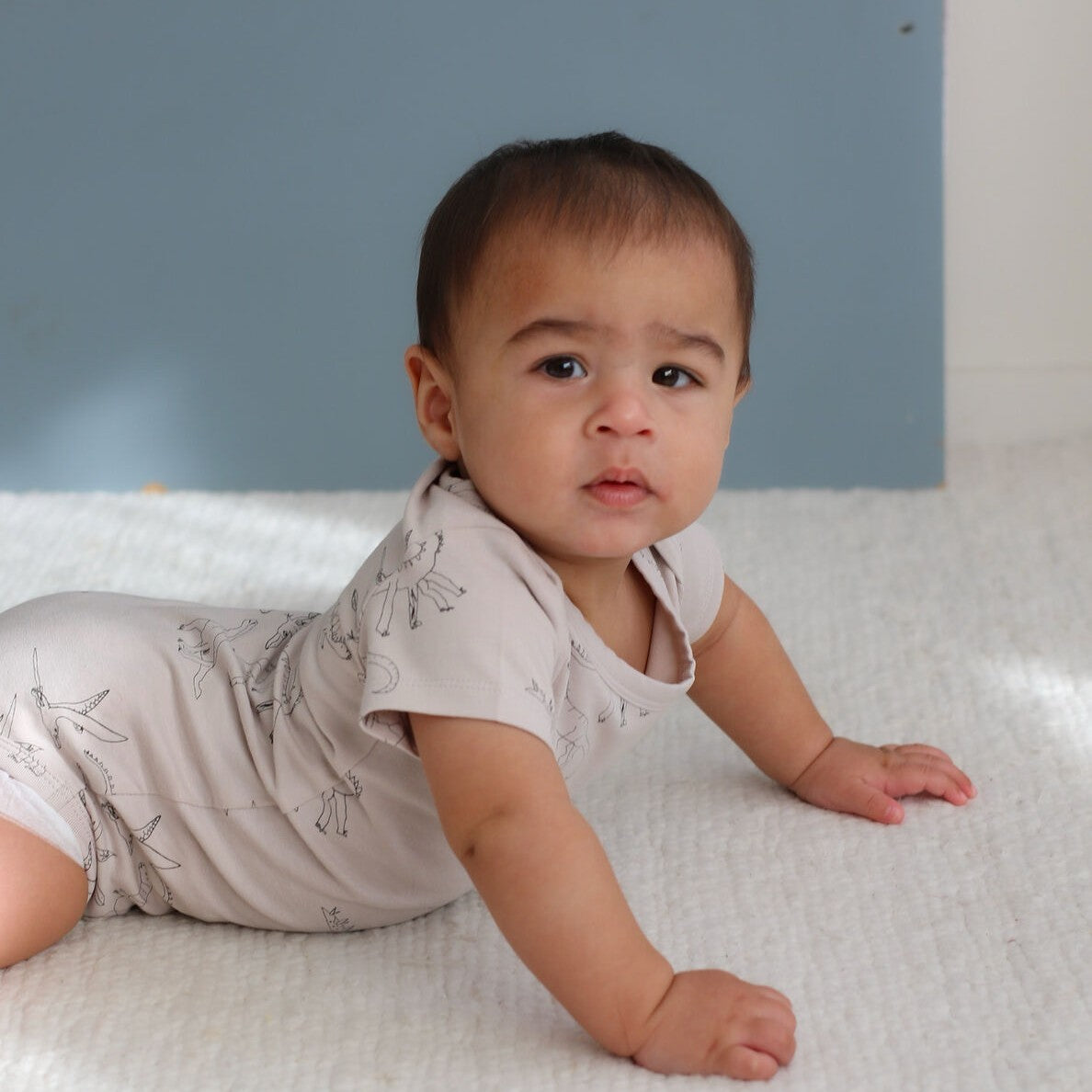 Baby bodysuit with dinosaur pattern