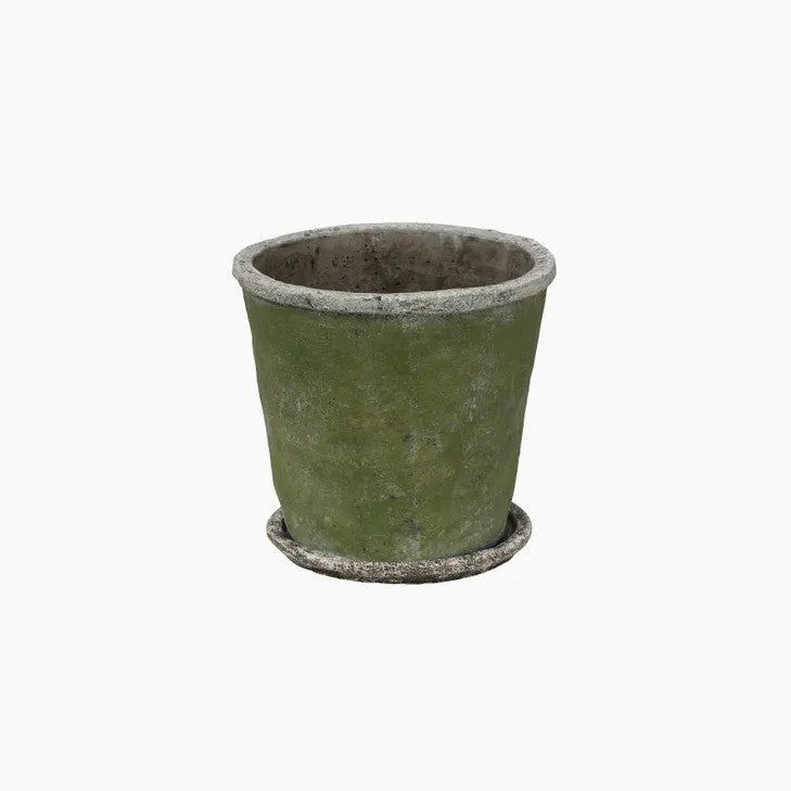 Evergreen Plant Pot & Saucer Medium