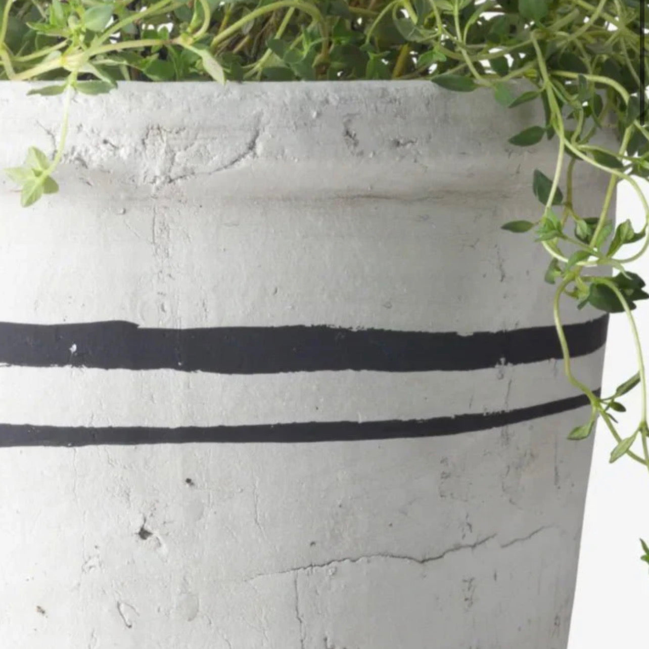 FCO Lisbon Herb Pot Small
