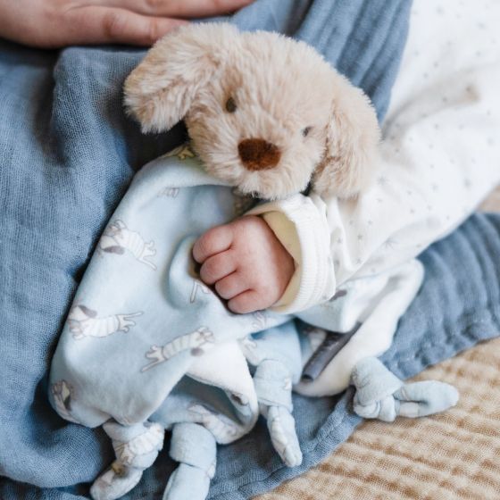 Lovie/Comforter Barklife Dog