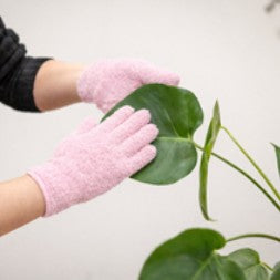Person wearing pink gloves holding a green leaf with a white background
