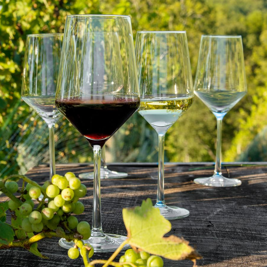 Wine glasses with red and white wine