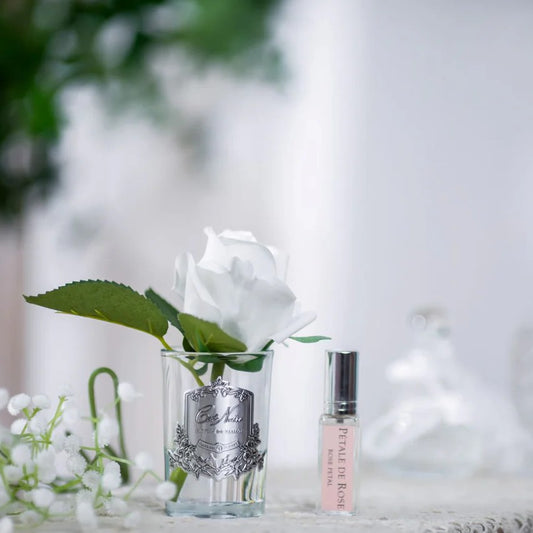 Cote Noir Rose Bud Ivory