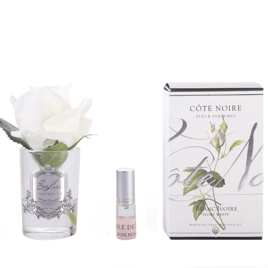 Cote Noir Rose Bud Ivory