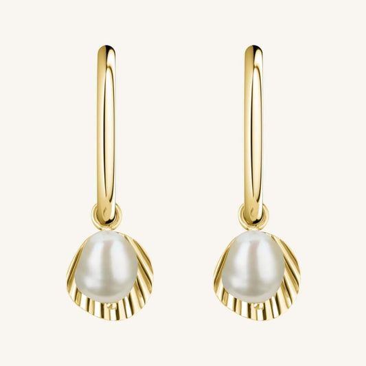 RFeild Shell & Pearl Drop Earring Gold